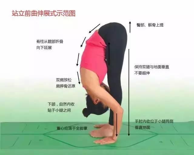 明博体育中国官方瑜伽108式标准体位图以及练习要点详解(图2)