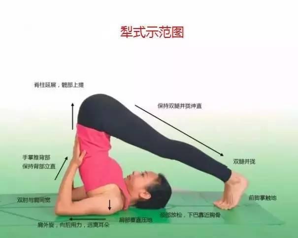 明博体育中国官方瑜伽108式标准体位图以及练习要点详解(图5)