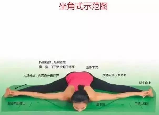 明博体育中国官方瑜伽108式标准体位图以及练习要点详解(图8)