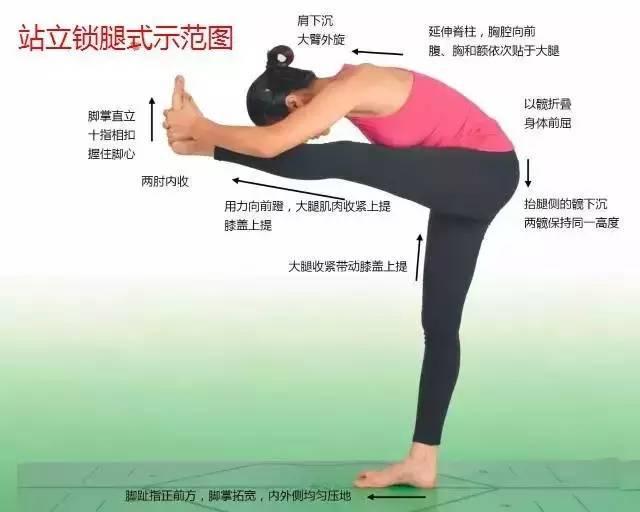 明博体育中国官方瑜伽108式标准体位图以及练习要点详解(图9)